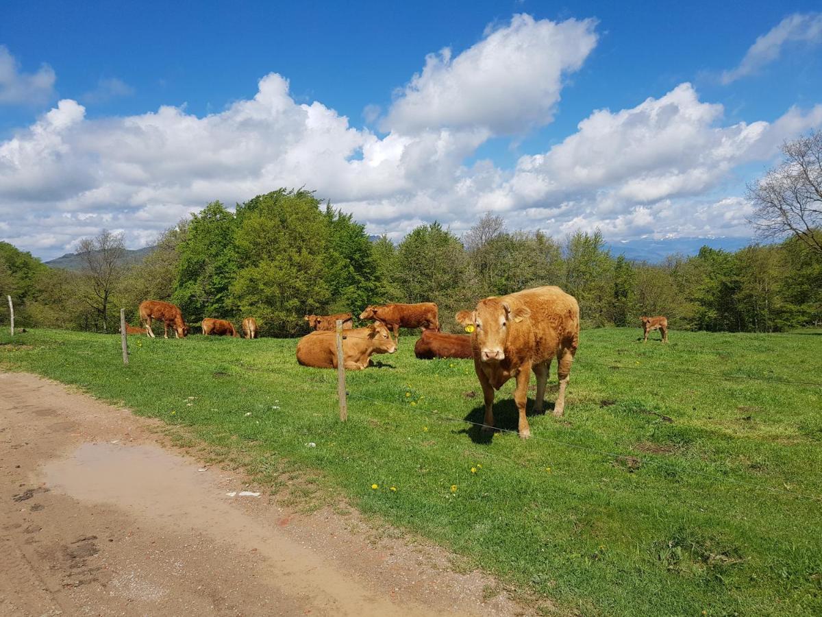 Santuari De La Salut De Sant Felíu de Pallarols Exteriér fotografie