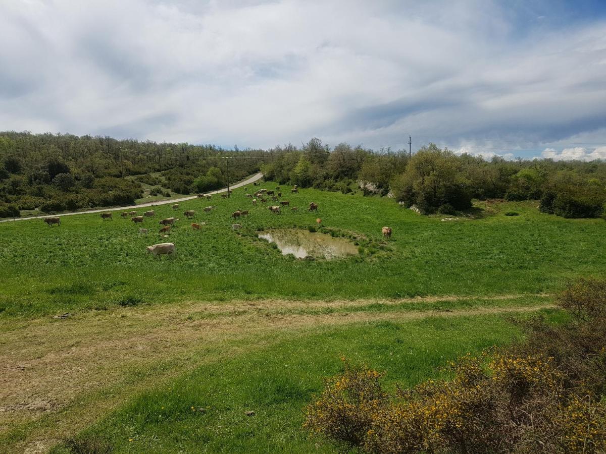 Santuari De La Salut De Sant Felíu de Pallarols Exteriér fotografie