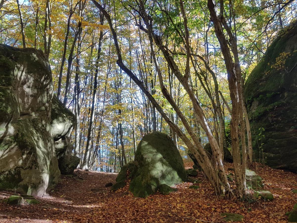 Santuari De La Salut De Sant Felíu de Pallarols Exteriér fotografie