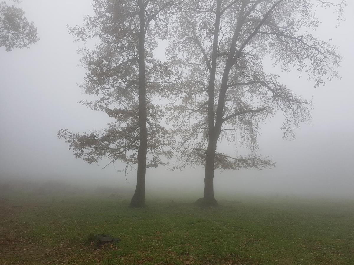 Santuari De La Salut De Sant Felíu de Pallarols Exteriér fotografie