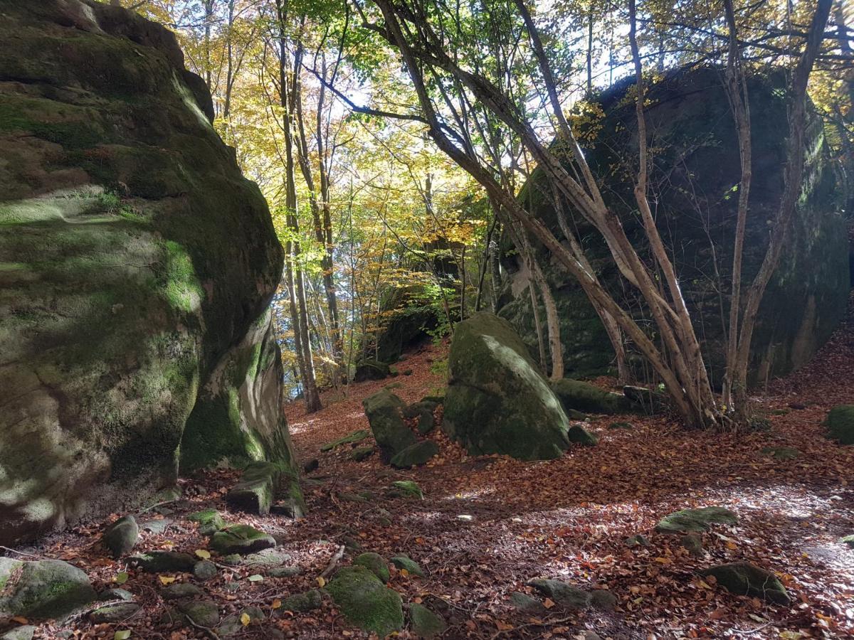 Santuari De La Salut De Sant Felíu de Pallarols Exteriér fotografie